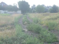 Участок 9 соток Артема фото 5 Участок 9 соток Артема фото 5