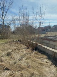 Продам земельный участок Славянск р-н Артема фото 2 Продам земельный участок Славянск р-н Артема фото 2