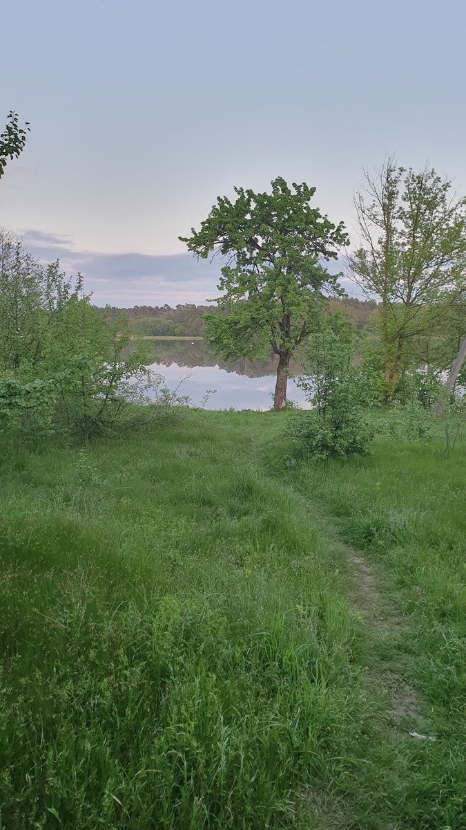 УЧАСТОК С ВЫХОДОМ К РЕКЕ фото 1 УЧАСТОК С ВЫХОДОМ К РЕКЕ фото 1