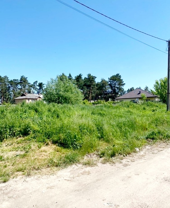 Лучший участок ...лес и река рядом фото 1 Лучший участок ...лес и река рядом фото 1