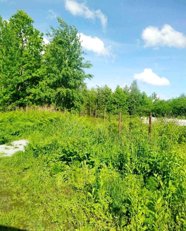 Участок в Довжике фото 1 Участок в Довжике фото 1