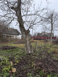 Земельна ділянка в Сінгурах фото 8 Земельна ділянка в Сінгурах фото 8