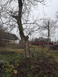 Земельна ділянка в Сінгурах фото 13 Земельна ділянка в Сінгурах фото 13