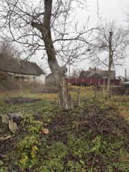 Земельна ділянка в Сінгурах фото 3 Земельна ділянка в Сінгурах фото 3