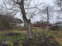 Земельна ділянка в Сінгурах фото 6 Земельна ділянка в Сінгурах фото 6