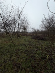 Земельна ділянка в Сінгурах фото 7 Земельна ділянка в Сінгурах фото 7