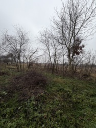 Земельна ділянка в Сінгурах фото 4 Земельна ділянка в Сінгурах фото 4