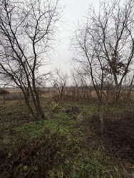 Земельна ділянка в Сінгурах фото 5 Земельна ділянка в Сінгурах фото 5