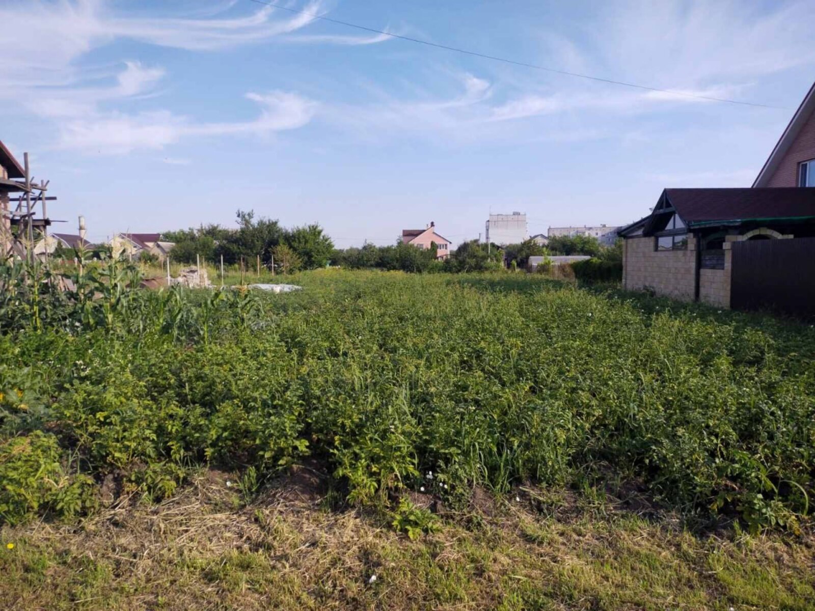 Продаж ділянки с.Косівщина, вул.Калинова фото 1 Продаж ділянки с.Косівщина, вул.Калинова фото 1