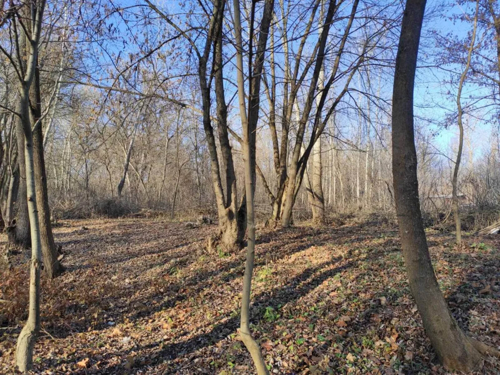 ������ �������� ������ � ������� ���� ��� ���� ���� � ���������� ��������������� (��������� ���) ���� 1