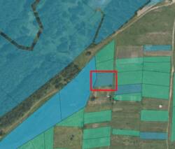 Земельна ділянка. Баранівка фото 8 Земельна ділянка. Баранівка фото 8