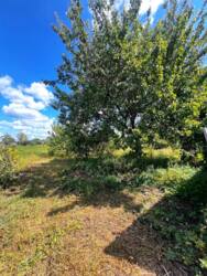 Продаж ділянки Верхня Сироватка вул. Садова вулиця заселена! фото 5 Продаж ділянки Верхня Сироватка вул. Садова вулиця заселена! фото 5