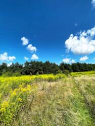 Земельна ділянка. Баранівка фото 1 Земельна ділянка. Баранівка фото 1