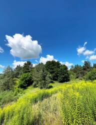 Земельна ділянка. Баранівка фото 3 Земельна ділянка. Баранівка фото 3