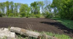 Земельна ділянка. с. Сад, Садове товариство 'Садівник - 1' фото 1 Земельна ділянка. с. Сад, Садове товариство 'Садівник - 1' фото 1