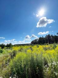 Земельна ділянка. Баранівка фото 5 Земельна ділянка. Баранівка фото 5