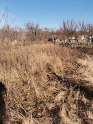 Земельна ділянка по вул.Білопільський шлях фото 5 Земельна ділянка по вул.Білопільський шлях фото 5