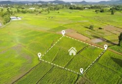 Продаж 2-х земельних ділянок в с.Токарі фото 2 Продаж 2-х земельних ділянок в с.Токарі фото 2