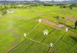 Продаж двох ділянок в с. Токарі фото 1 Продаж двох ділянок в с. Токарі фото 1