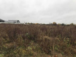 ������ ��������� ������ �� 10 ����� (� ��������� �������� ��� �������� 157 �����) ���� 3