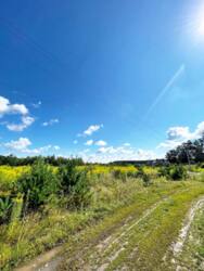 Земельна ділянка. Баранівка фото 2 Земельна ділянка. Баранівка фото 2