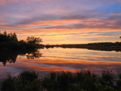 Продаж земельної ділянки пров.Тихий (р-н Косівщини) фото 1 Продаж земельної ділянки пров.Тихий (р-н Косівщини) фото 1