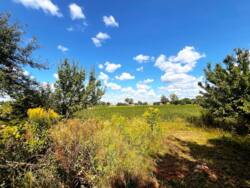 Продаж ділянки Верхня Сироватка вул. Садова вулиця заселена! фото 6 Продаж ділянки Верхня Сироватка вул. Садова вулиця заселена! фото 6