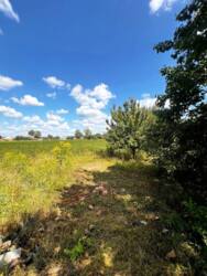 Продаж ділянки Верхня Сироватка вул. Садова вулиця заселена! фото 7 Продаж ділянки Верхня Сироватка вул. Садова вулиця заселена! фото 7