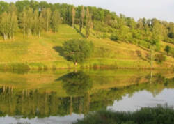 Земельна ділянка. с. Сад, Садове товариство 'Садівник - 1' фото 2 Земельна ділянка. с. Сад, Садове товариство 'Садівник - 1' фото 2