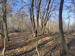 ������ �������� ������ � ������� ���� ��� ���� ���� � ���������� ��������������� (��������� ���) ���� 1