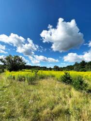 Земельна ділянка. Баранівка фото 5 Земельна ділянка. Баранівка фото 5