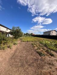 Продаж великої земельної ділянки з будинком в с. Сад (Насіннева станція) фото 5 Продаж великої земельної ділянки з будинком в с. Сад (Насіннева станція) фото 5