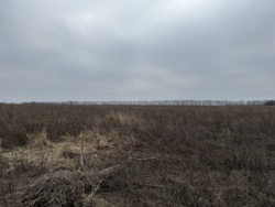 Продам земельну ділянку, 6 соток. Перемичка. Агрономічне. фото 4 Продам земельну ділянку, 6 соток. Перемичка. Агрономічне. фото 4