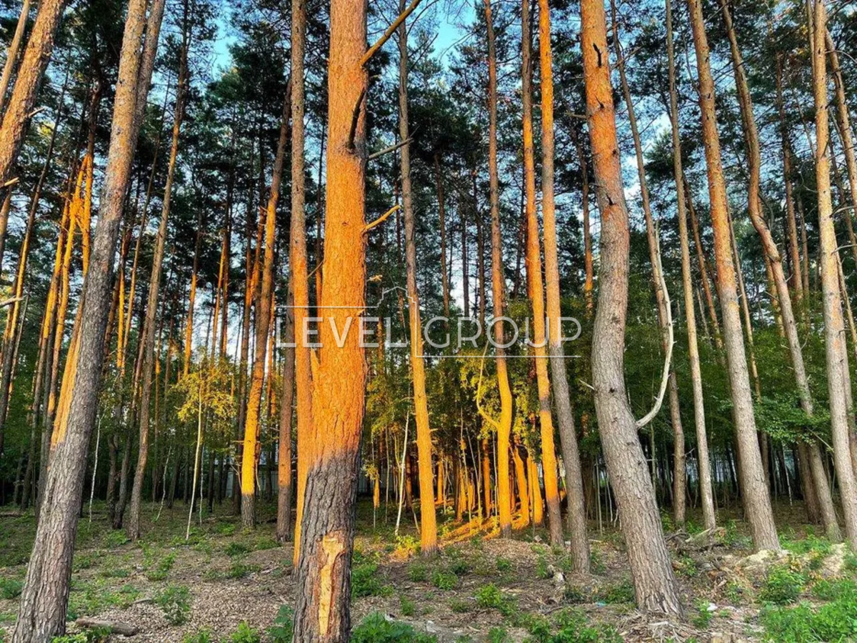 ĳ����� � ��������� �� � 4 �� �� �����! ����� � �������� � �������� ���� 1