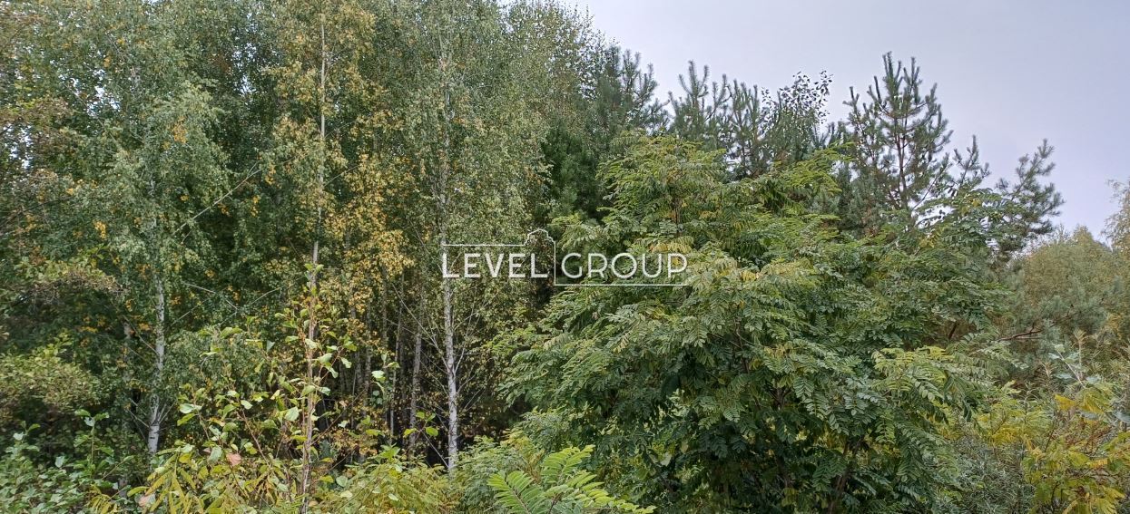 ����� ����� ĳ����� 75 ����� � ������� �� ������ ����� ������ ���� 1