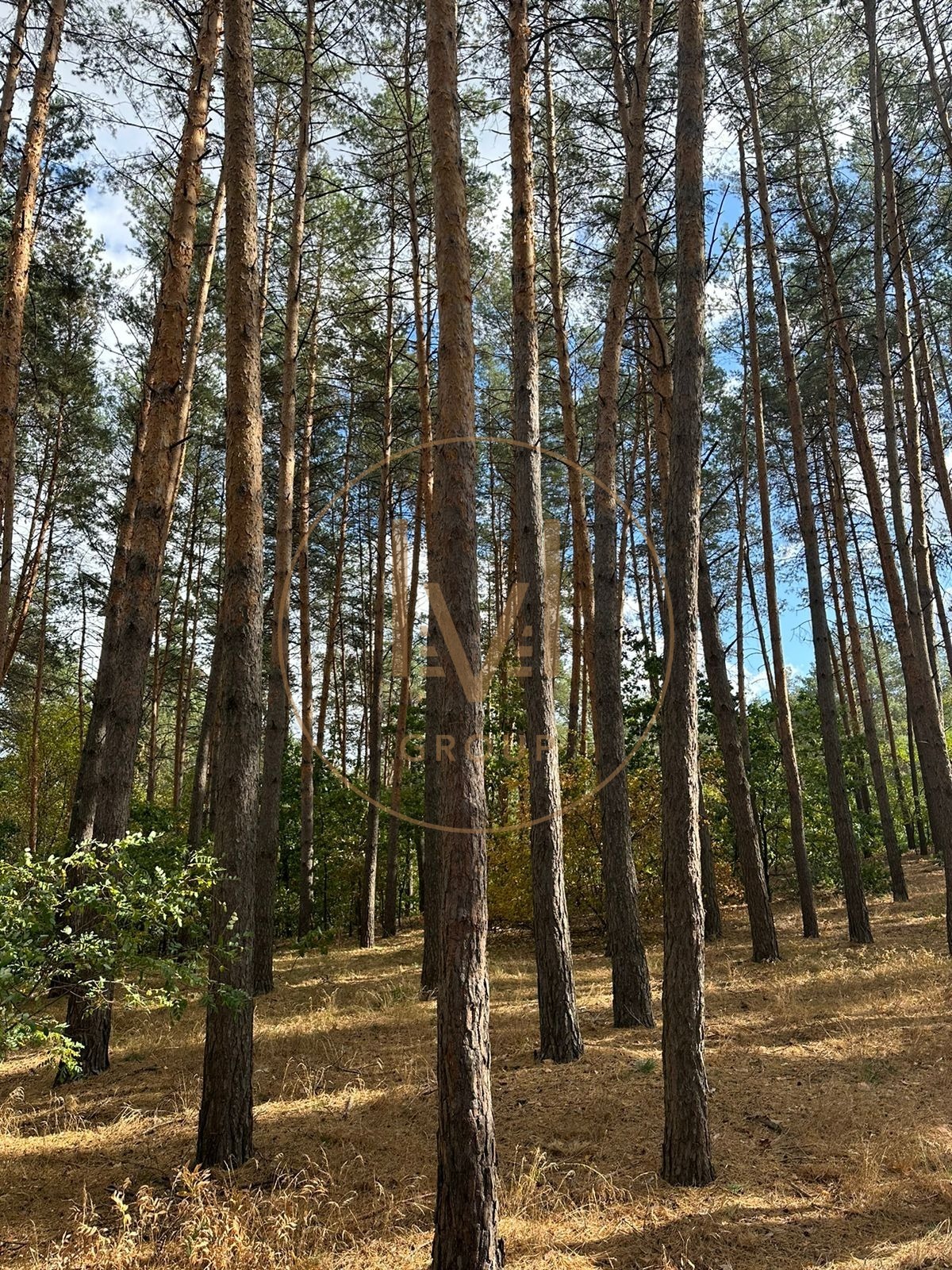 Продажа ділянки 1 Га в Тарасівці, Обухівського району фото 1 Продажа ділянки 1 Га в Тарасівці, Обухівського району фото 1