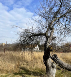 ������ �������� ������ �� �������� 25 ����� ������������ ���� 1