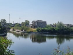      .,    6