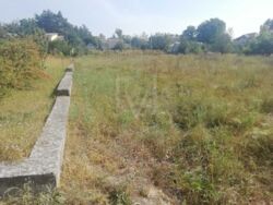   0,65 ,    -, . ,  17