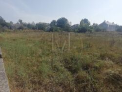   0,65 ,    -, . ,  16