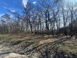 ������ �������� ������ 10 ����� �� �������� ��� Ⓙ��� � ��� ����������� ����� ���� 4