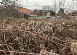 Ділянка на Синеозерній, фасад з видом на ліс; 6 соток. фото 4 Ділянка на Синеозерній, фасад з видом на ліс; 6 соток. фото 4