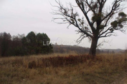 ��������� ������ ��� ����������, �����������, ������� ���� 3