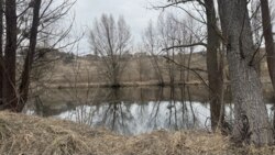 Продаж унікальної земельної ділянки під базу відпочинку або котеджне містечко | Старі Безрадичі фото 1 Продаж унікальної земельної ділянки під базу відпочинку або котеджне містечко | Старі Безрадичі фото 1