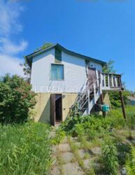 ���������! ĳ����� 5.5 ����� � 10 �� ���� �� ����� �������� ���� 11