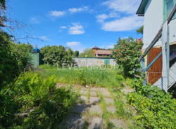 ���������! ĳ����� 5.5 ����� � 10 �� ���� �� ����� �������� ���� 12