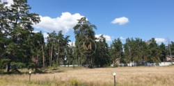    S=5 ,     17