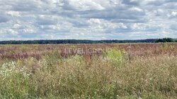 Продаж земельної ділянки 42 сот. з виходом до річки в с. Гнатівка (Бучанський р-н) фото 3 Продаж земельної ділянки 42 сот. з виходом до річки в с. Гнатівка (Бучанський р-н) фото 3