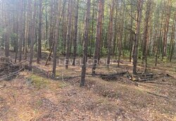 �������� ������ 2, 5��. ����� (������), ���� 2