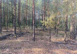 �������� ������ 2, 5��. ����� (������), ���� 1